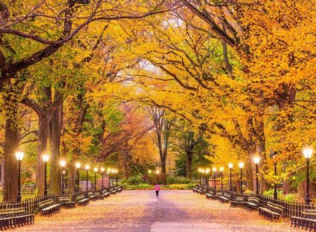 Central Park New York