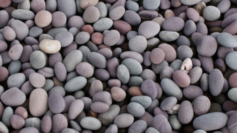 Natural Stone Wholesaler with Fast Delivery and Trusted Service